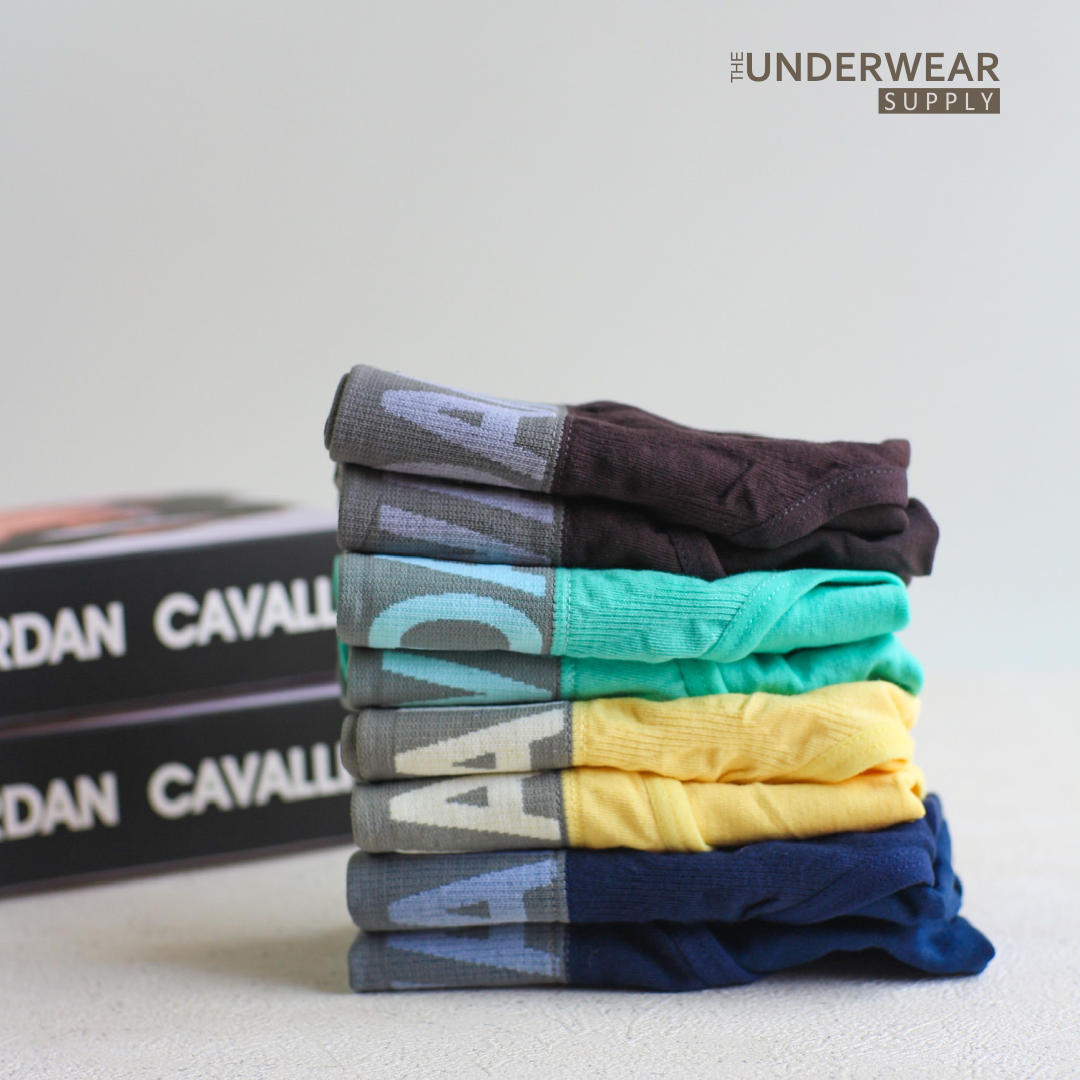 [Jordan Cavalli] 2pcs Celana Dalam Pria | Seamless Cotton Briefs | Briefs Underwear