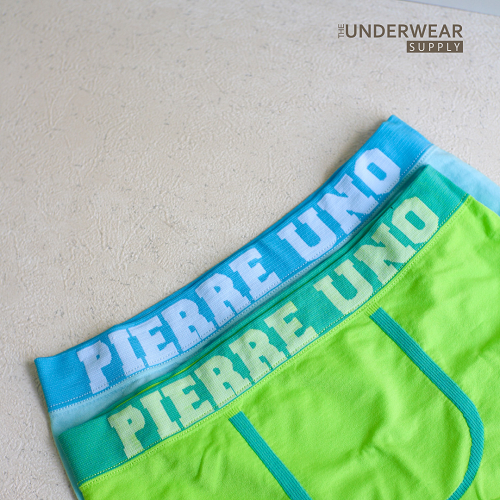 [Pierre Uno] 2pcs Celana Dalam Remaja Seamless 10-17 Tahun | Microfiber Spandex | Teen Underwear 09