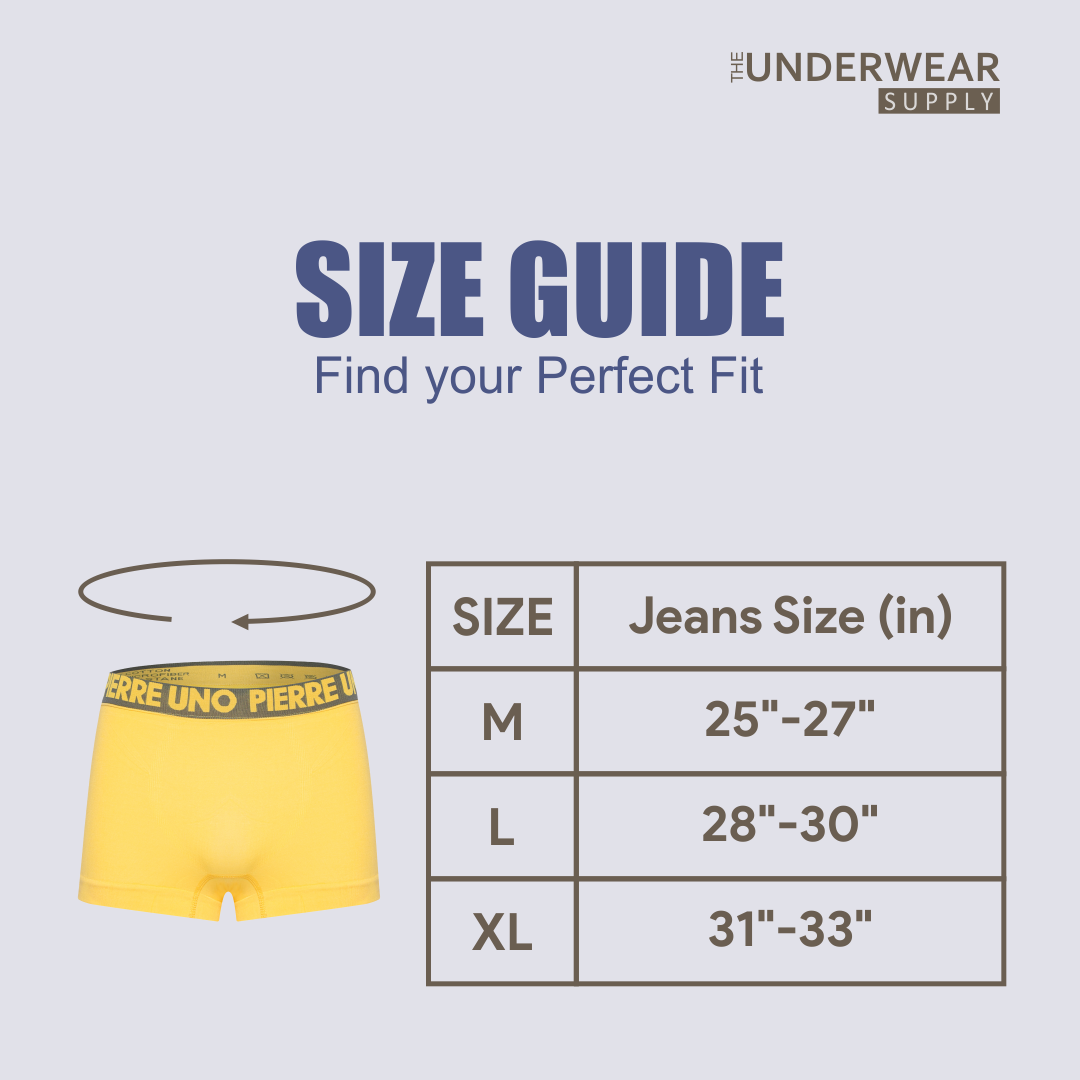 [Pierre Uno] 2pcs Celana Dalam Remaja Pria | Spandex Microfiber | Teens Seamless Trunks