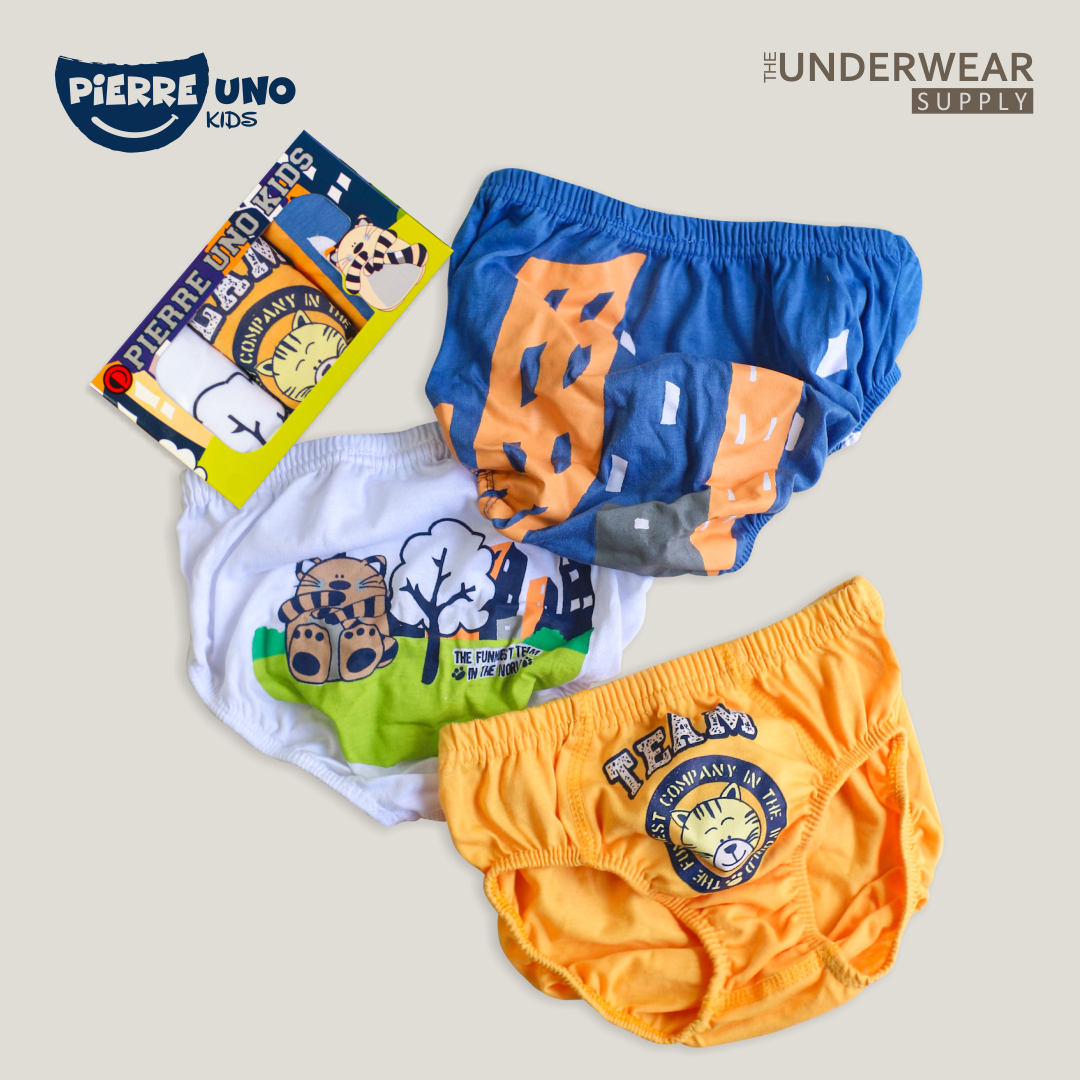 Pierre Uno Kids [1 Box = 3 Pcs] - Celana Dalam Anak Laki-laki [2- 13 tahun]  / Teamcat